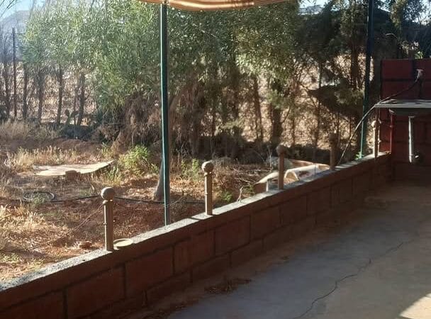 ارض مساحة 24 قصبة/500 متر مع غرفة و منافع في ريف دمشق منطقة لعادلية
