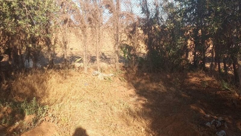 ارض مساحة 24 قصبة/500 متر مع غرفة و منافع في ريف دمشق منطقة لعادلية